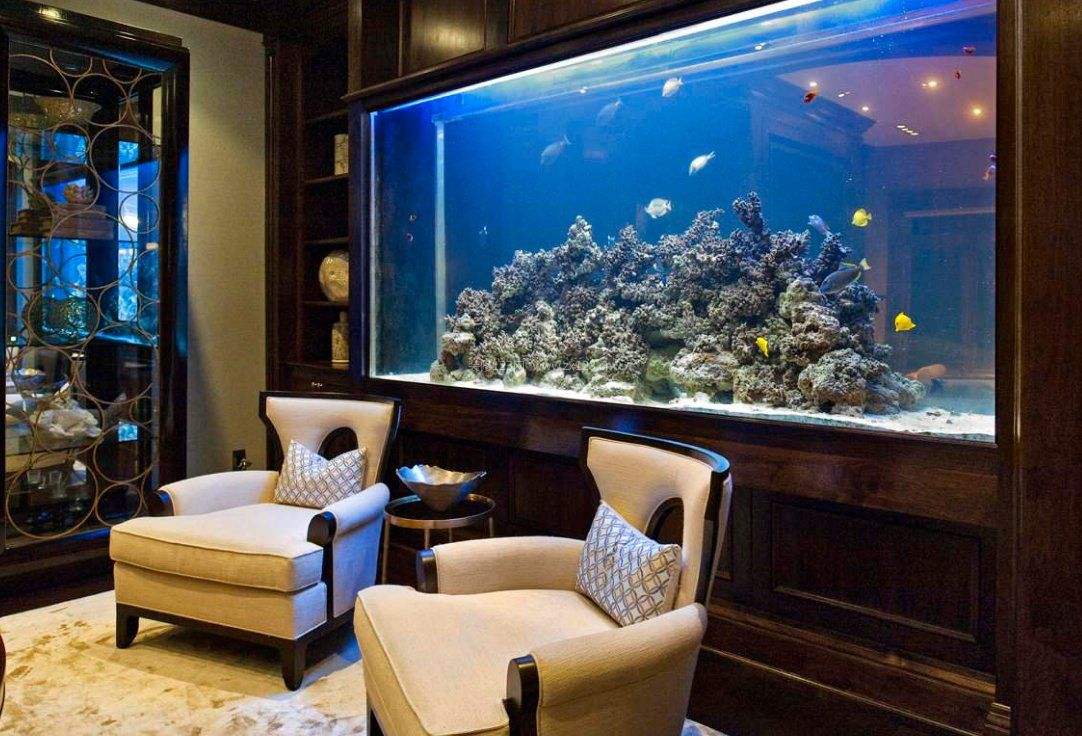 鱼缸放在客厅图片大全图片